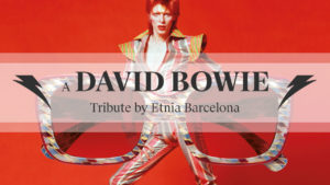 David Bowie Etnia Barcelona at Davies-Todd Opticians (Worksop) Ltd